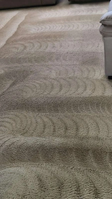 apartment-carpet-cleaning